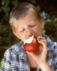 Child eating apple